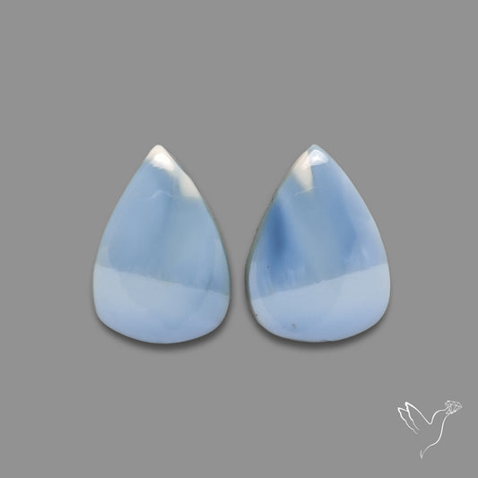 Owyhee Blue Opal Pair