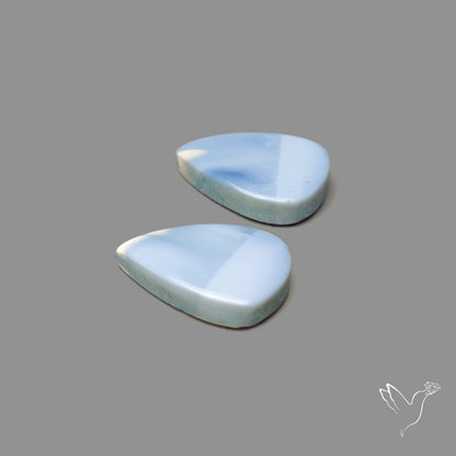 Owyhee Blue Opal Pair