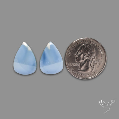Owyhee Blue Opal Pair