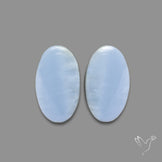 Owyhee Blue Opal Pair