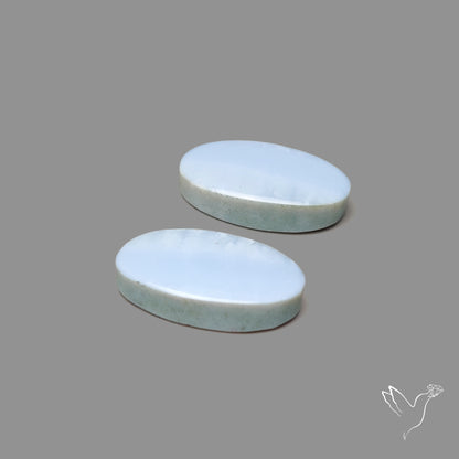 Owyhee Blue Opal Pair
