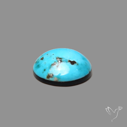 Morenci Turquoise With Pyrite Inclusions