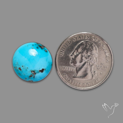 Morenci Turquoise With Pyrite Inclusions