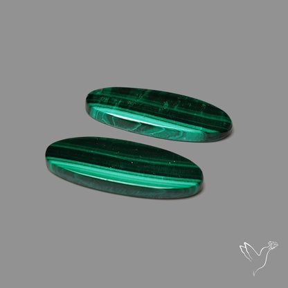 Green Malachite with Chattoyancy Pair