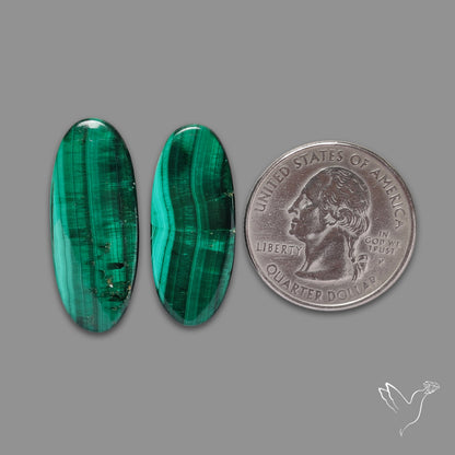 Green Malachite with Chattoyancy Pair