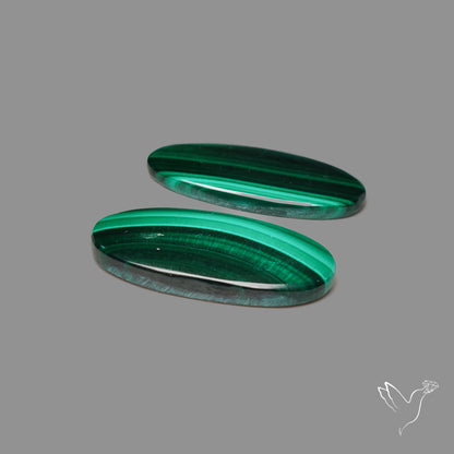 Green Malachite with Chattoyancy Pair
