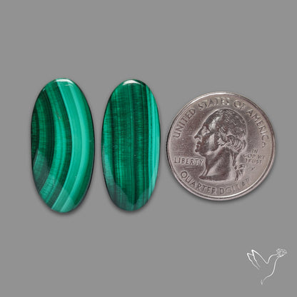 Green Malachite with Chattoyancy Pair