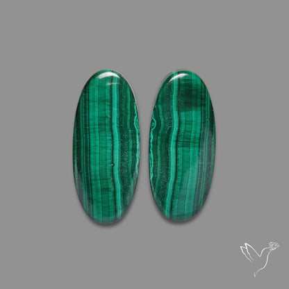 Green Malachite with Chattoyancy Pair