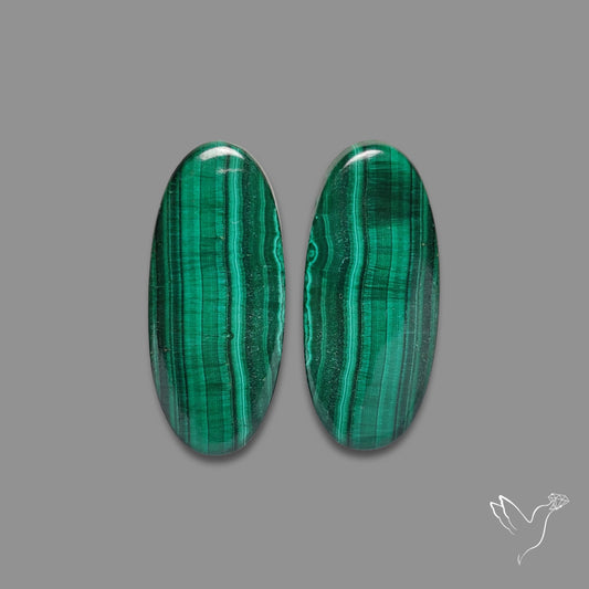 Green Malachite with Chattoyancy Pair