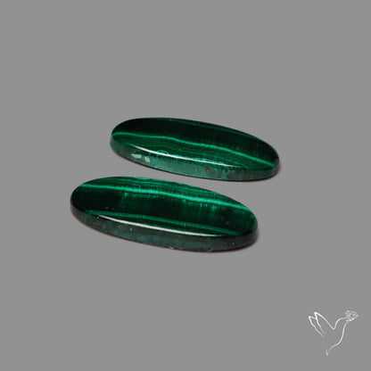 Green Malachite with Chattoyancy Pair
