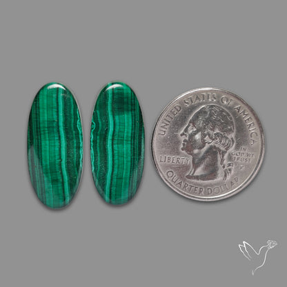 Green Malachite with Chattoyancy Pair