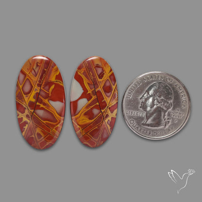 Noreena Jasper Pair