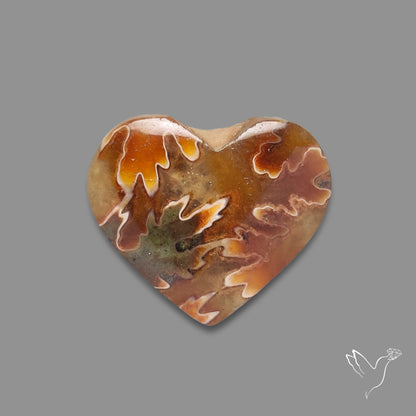 Suture Ammonite Heart