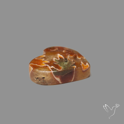 Suture Ammonite Heart