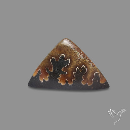 Suture Ammonite Cabochon
