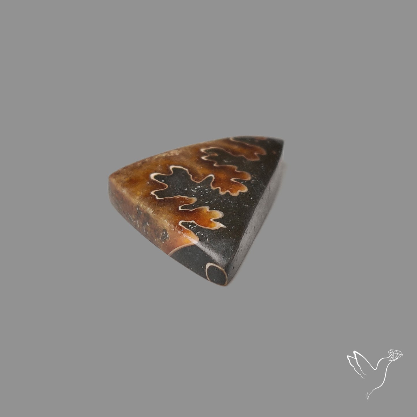 Suture Ammonite Cabochon