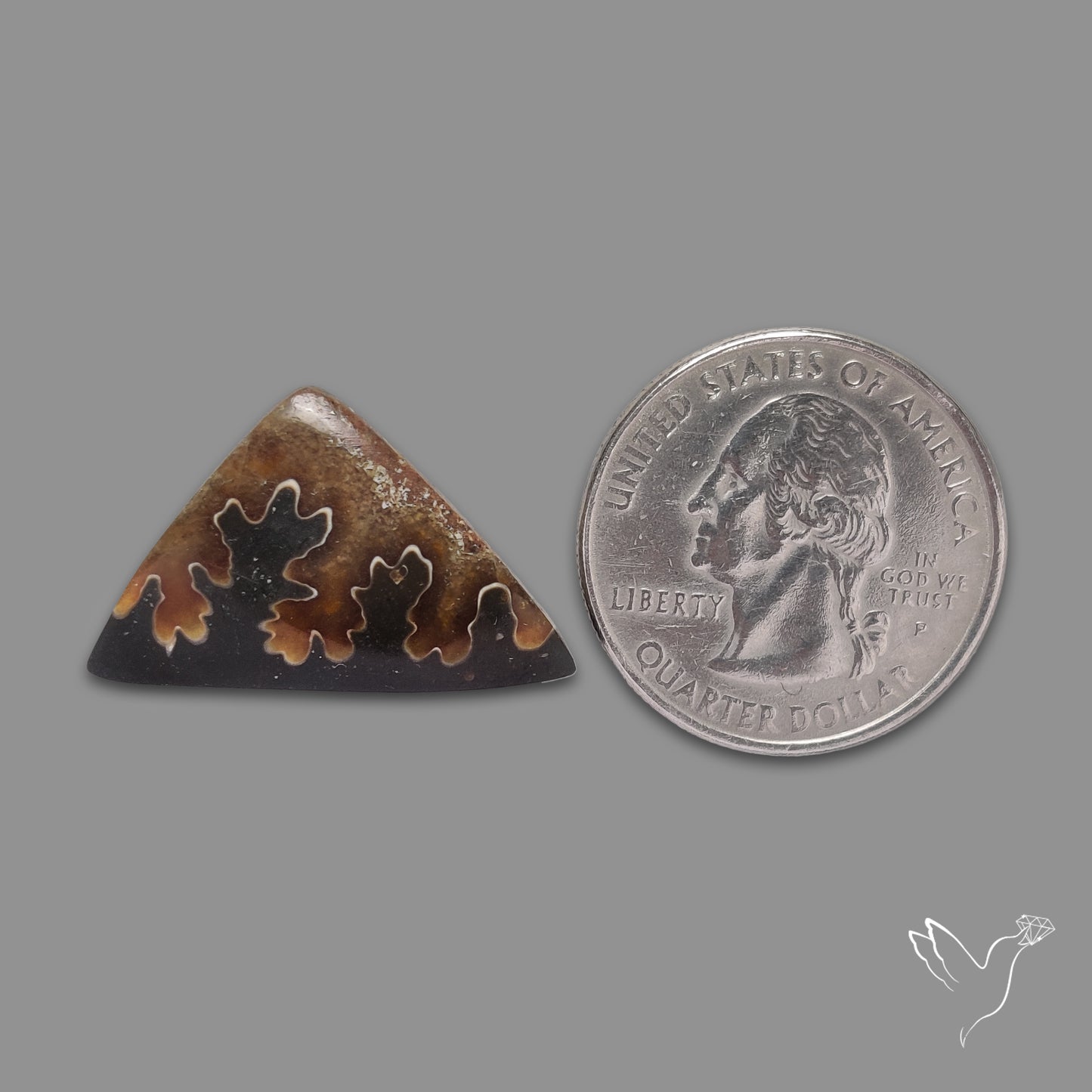 Suture Ammonite Cabochon