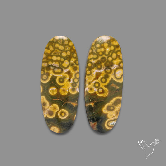 Yellow Orbicular Ocean Jasper Pair