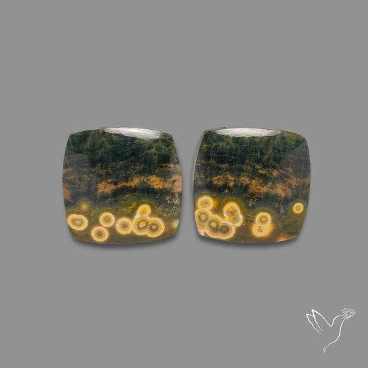 Yellow Orbicular Ocean Jasper Pair