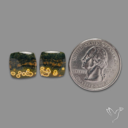 Yellow Orbicular Ocean Jasper Pair
