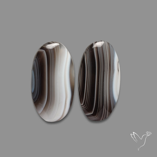 Botswana Agate Pair