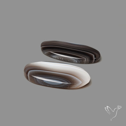 Botswana Agate Pair