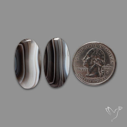 Botswana Agate Pair