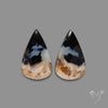 Indonesian Palmroot Agate Pair