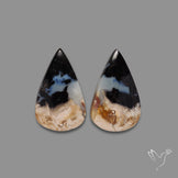 Indonesian Palmroot Agate Pair