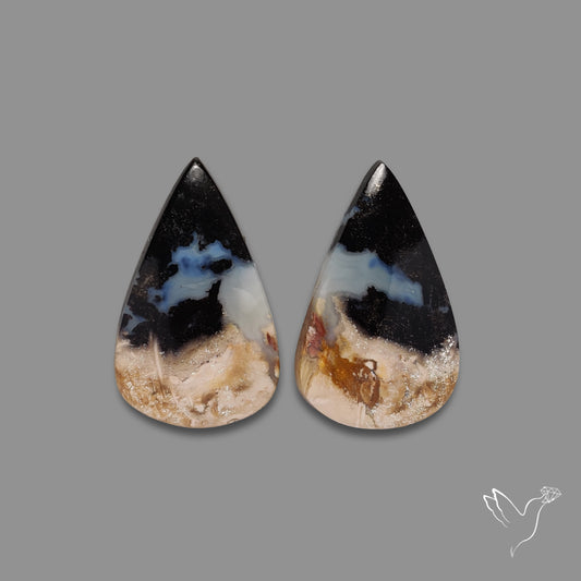 Indonesian Palmroot Agate Pair