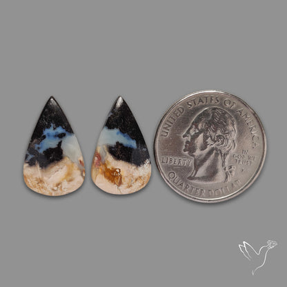 Indonesian Palmroot Agate Pair