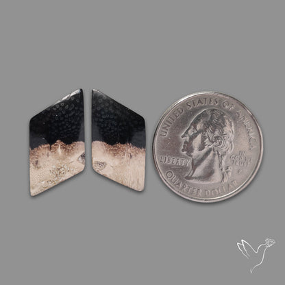Indonesian Palmroot Agate Pair