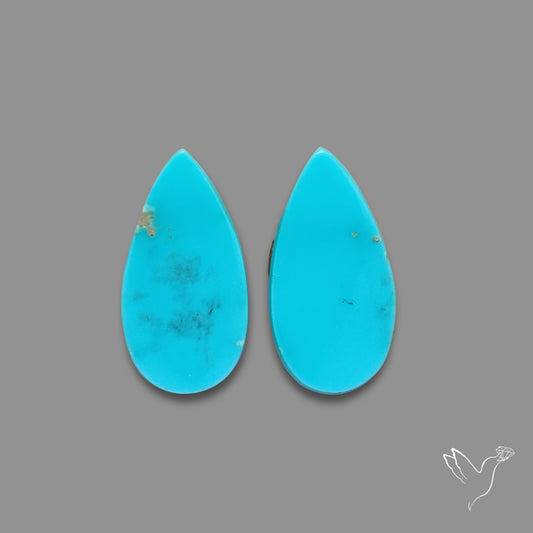Sleeping Beauty Turquoise Pair