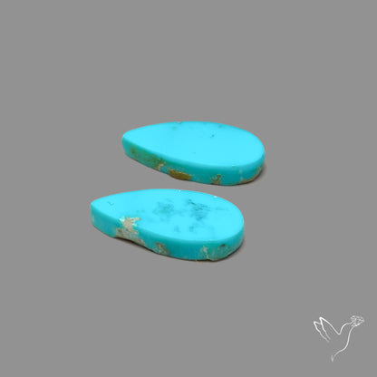 Sleeping Beauty Turquoise Pair