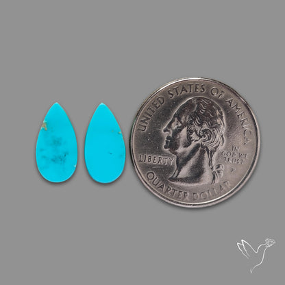 Sleeping Beauty Turquoise Pair