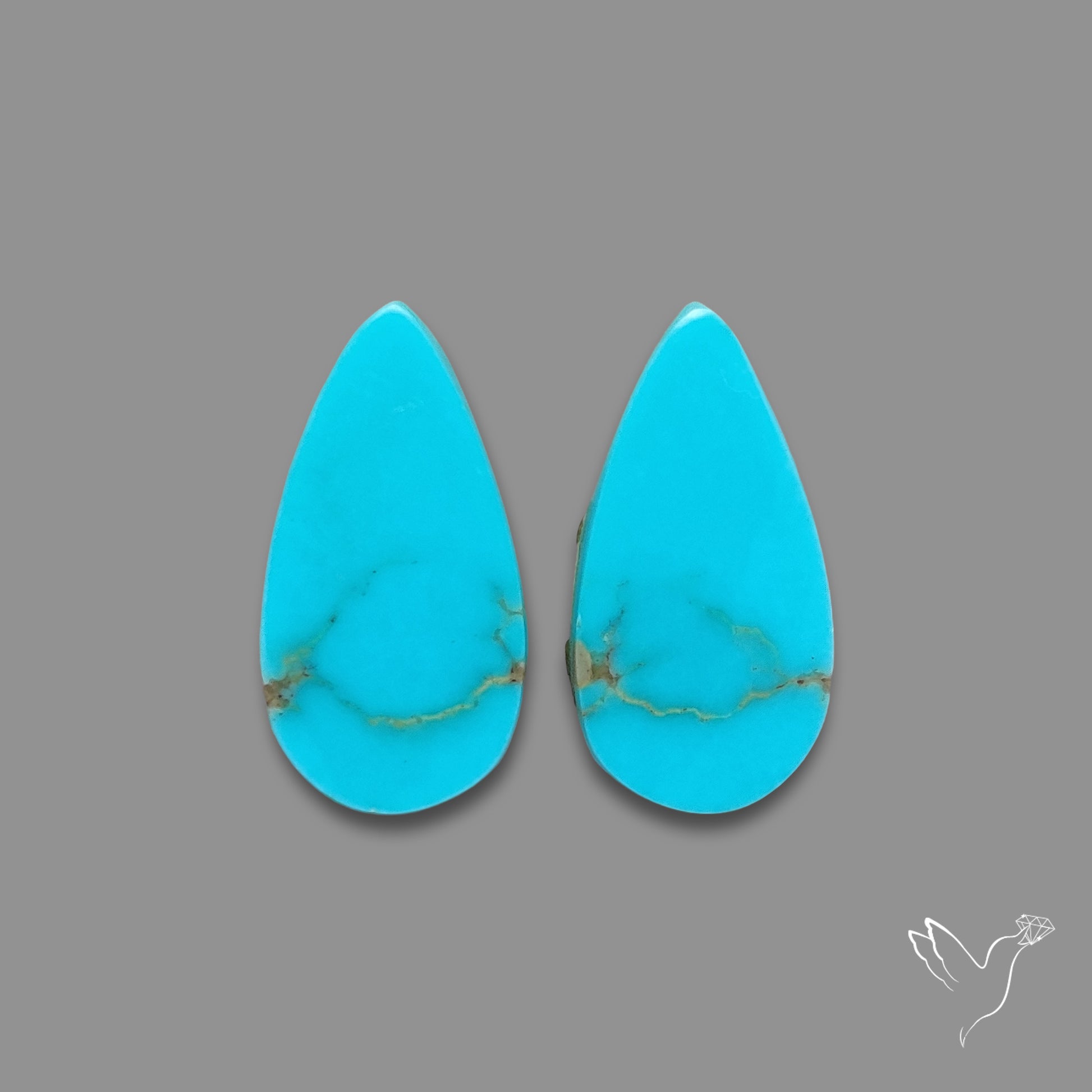 Sleeping Beauty Turquoise Pair