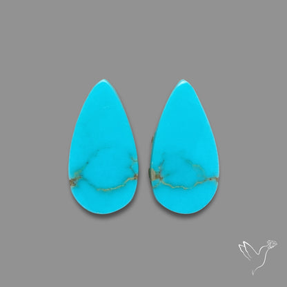 Sleeping Beauty Turquoise Pair