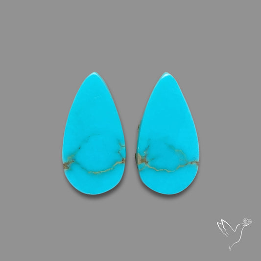 Sleeping Beauty Turquoise Pair