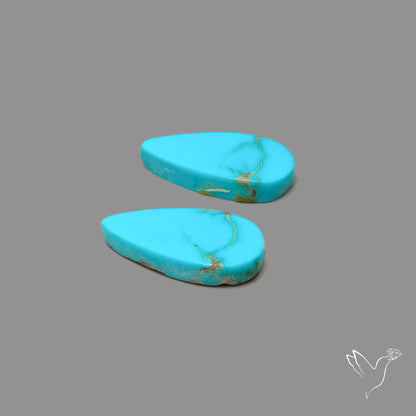 Sleeping Beauty Turquoise Pair