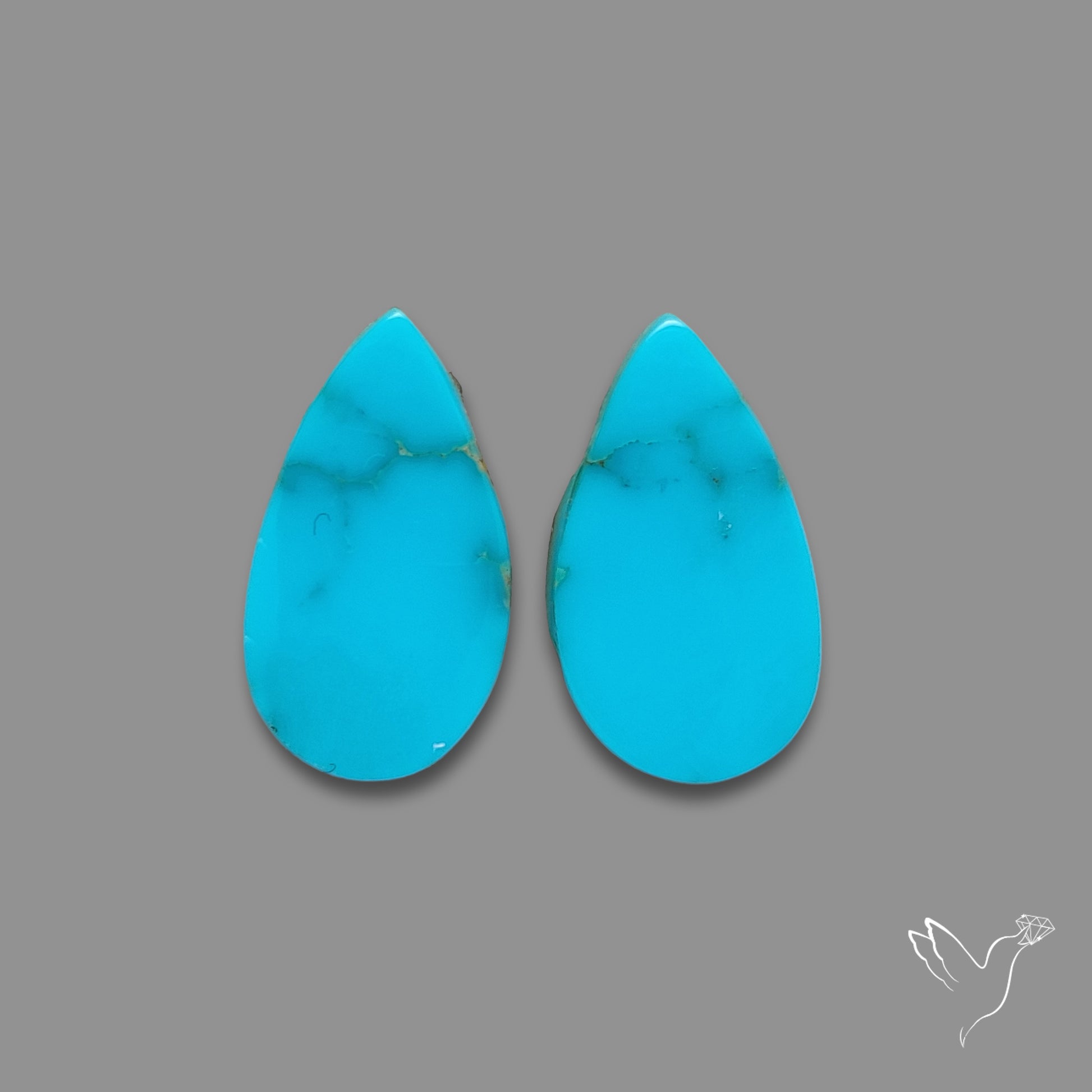 Sleeping Beauty Turquoise Pair