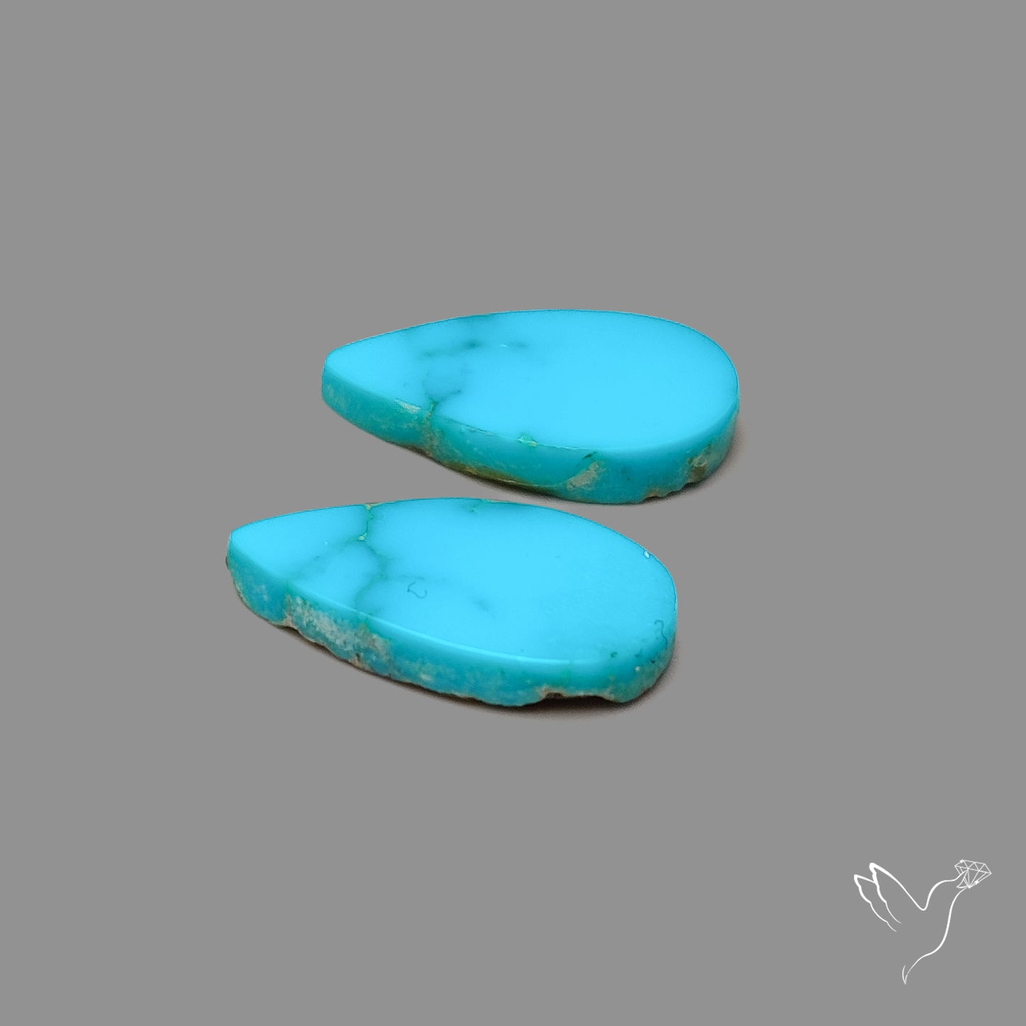 Sleeping Beauty Turquoise Pair