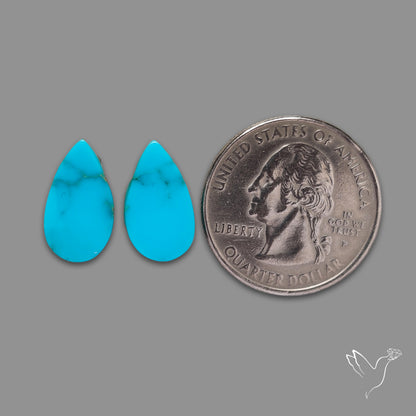Sleeping Beauty Turquoise Pair