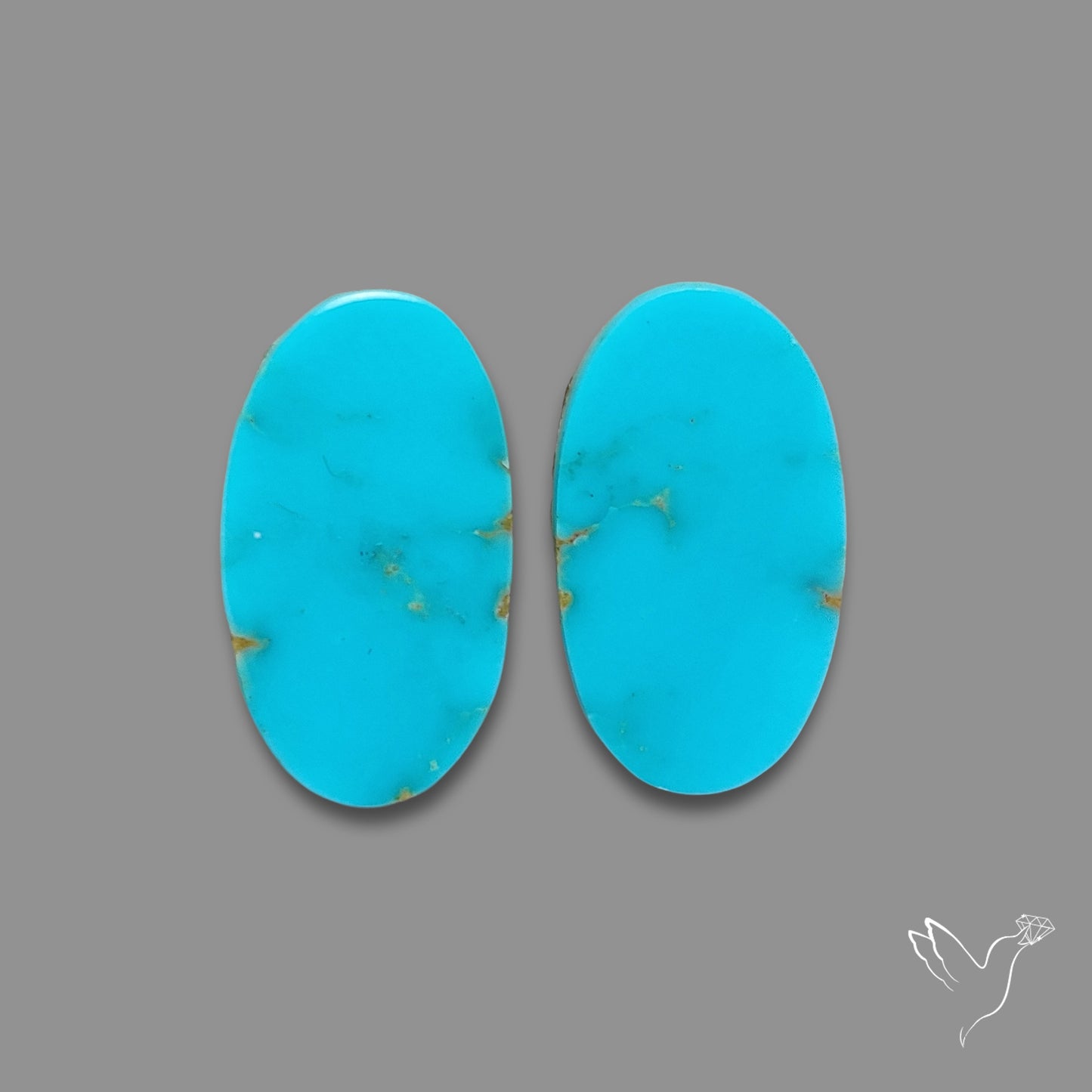 Sleeping Beauty Turquoise Pair