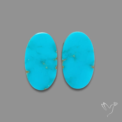 Sleeping Beauty Turquoise Pair