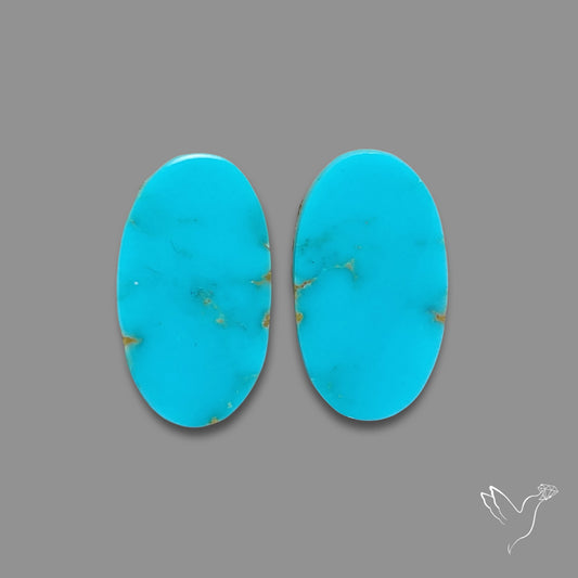 Sleeping Beauty Turquoise Pair