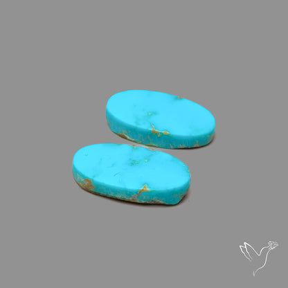 Sleeping Beauty Turquoise Pair