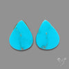 Sleeping Beauty Turquoise Pair