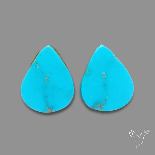 Sleeping Beauty Turquoise Pair
