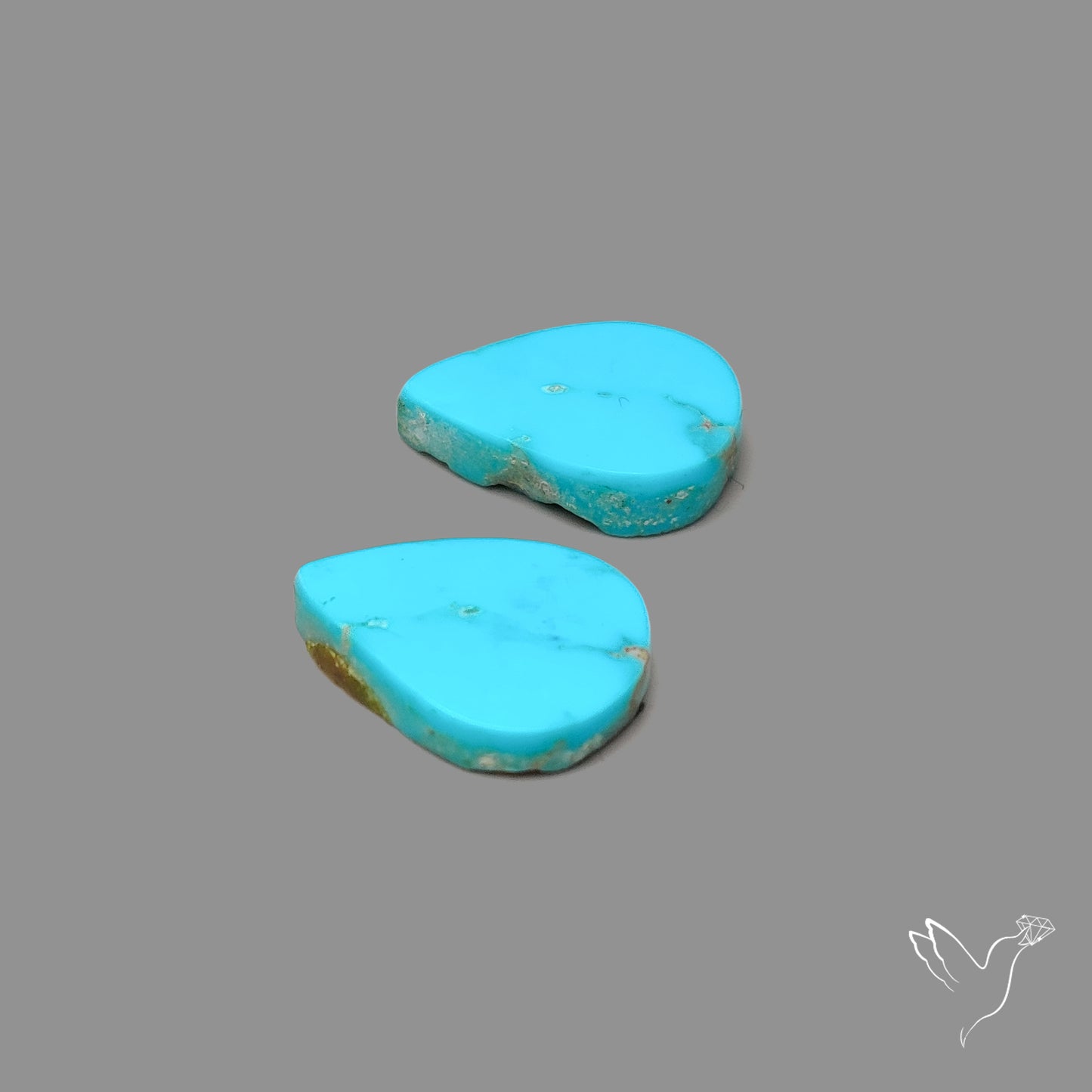 Sleeping Beauty Turquoise Pair
