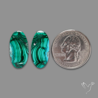 Chrysocolla In Malachite Pair